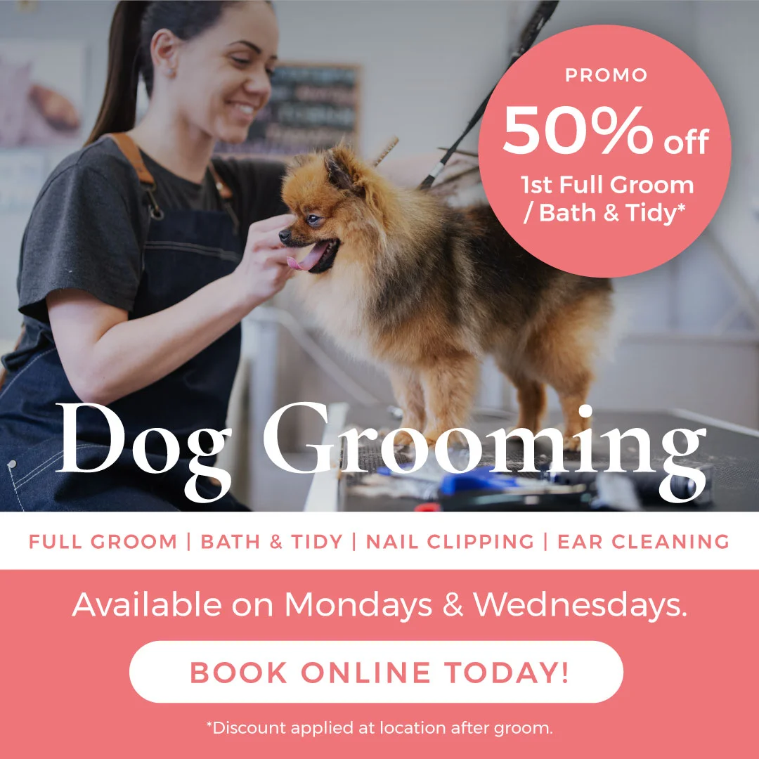 Noelles Pet Love Grooming promo 50%off