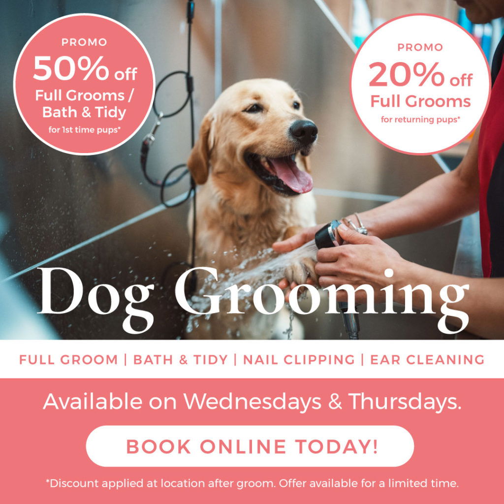 Noelles Pet Love Grooming promo may212024 wedthurs web