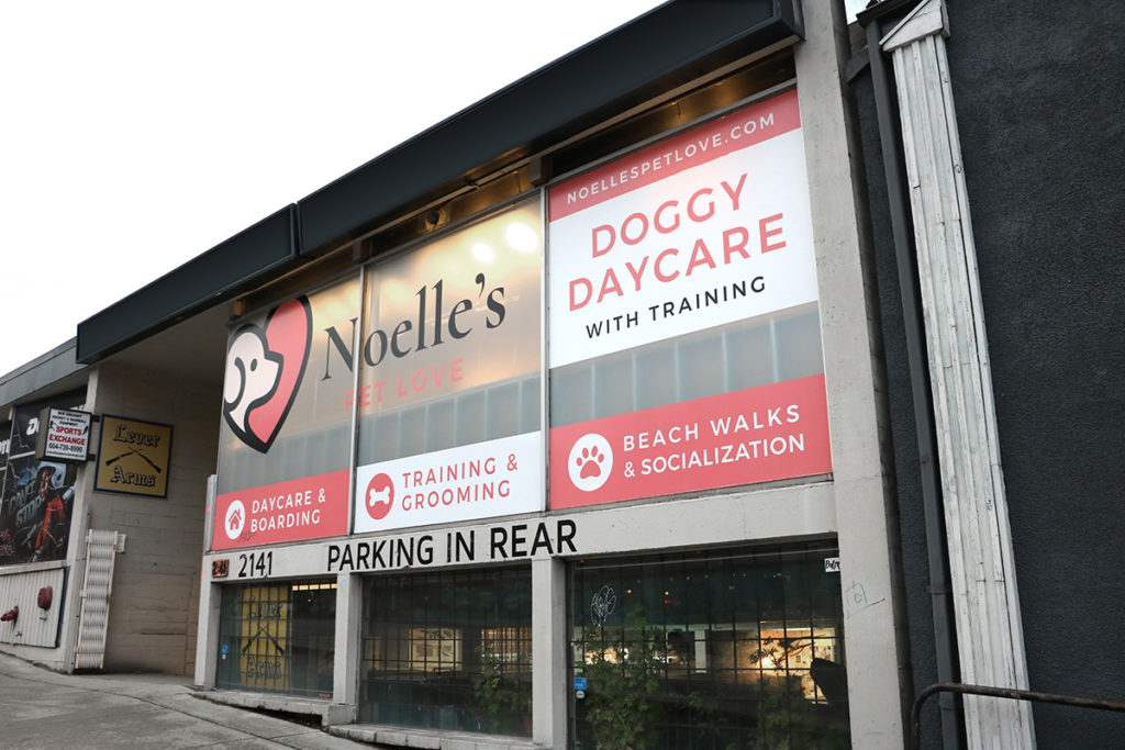 noelles pet love dog daycare kitsilano vancouver facility 16