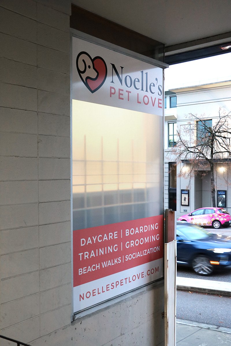 noelles pet love dog daycare kitsilano vancouver facility 19
