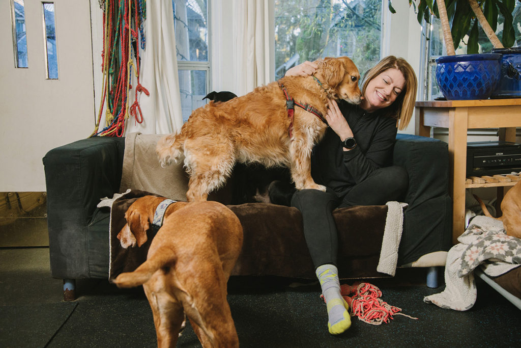 noelles pet love dog boarding kitsilano vancouver gallery 3