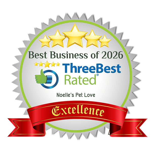 noelles pet love 3 best rated 2026 dog walking vancouver 600x600
