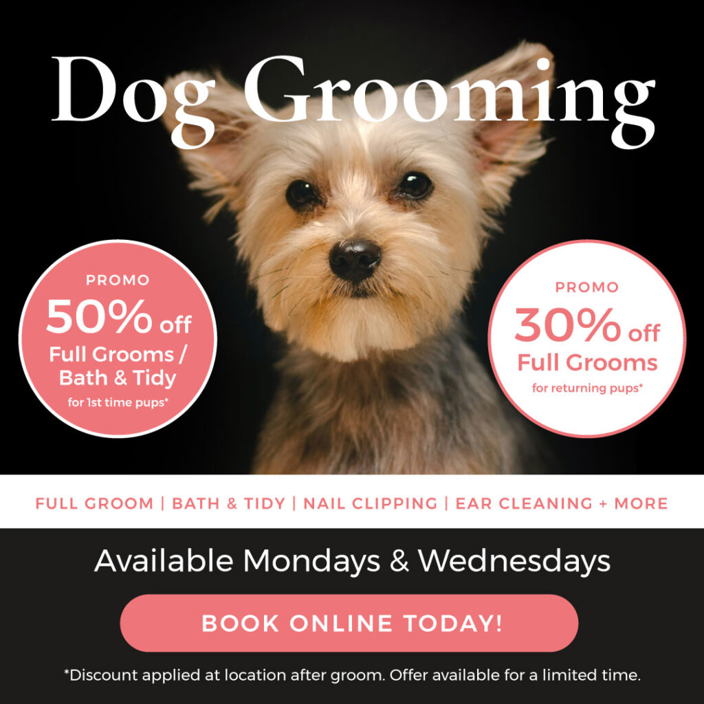Noelles Pet Love Grooming promo dec425