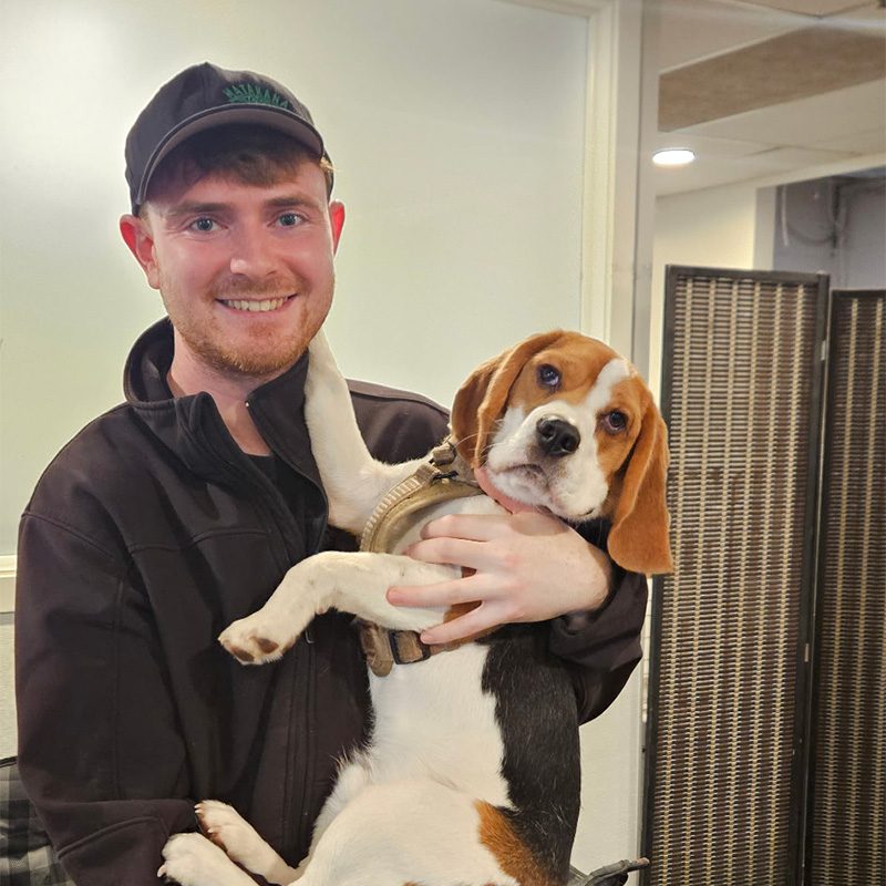 noelle pet love dennis