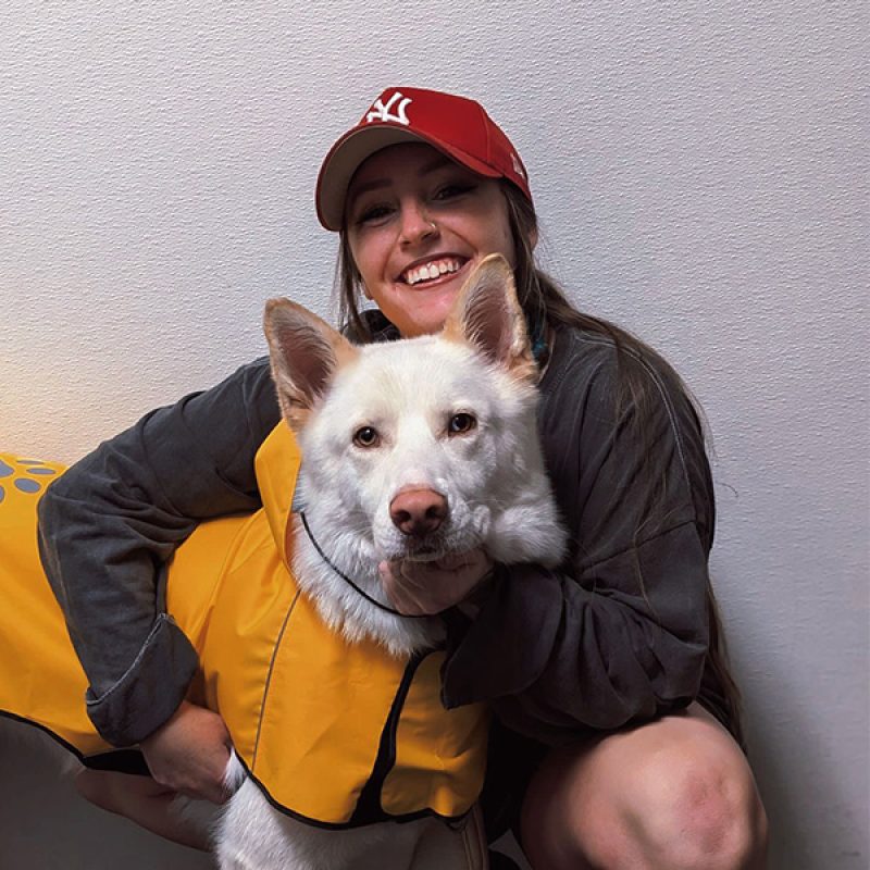 noelles pet love Kyra 600x600