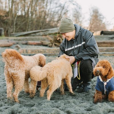 noelles pet love dog walking 3