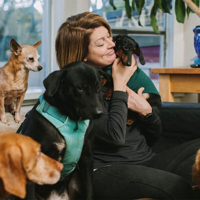 noelles pet love doggy daycare mission