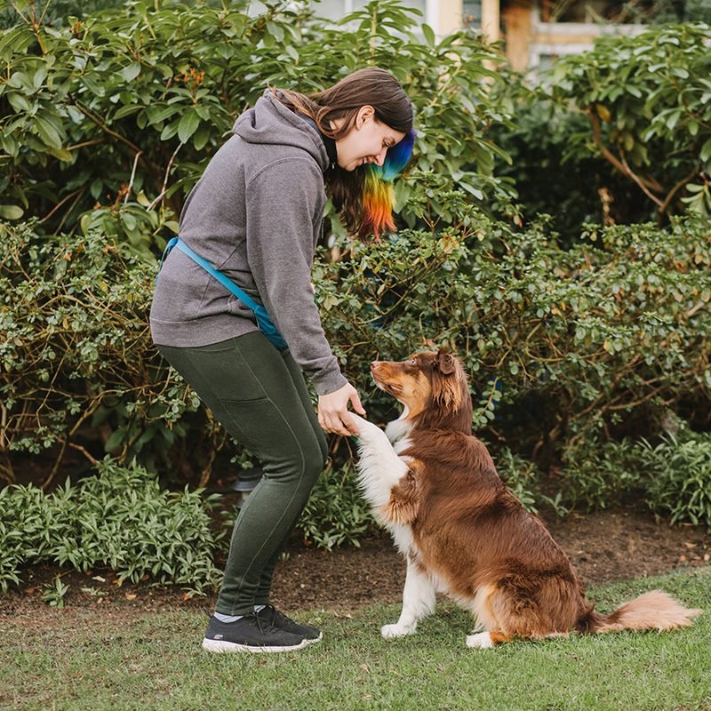 noelles-pet-love-puppy-training-1