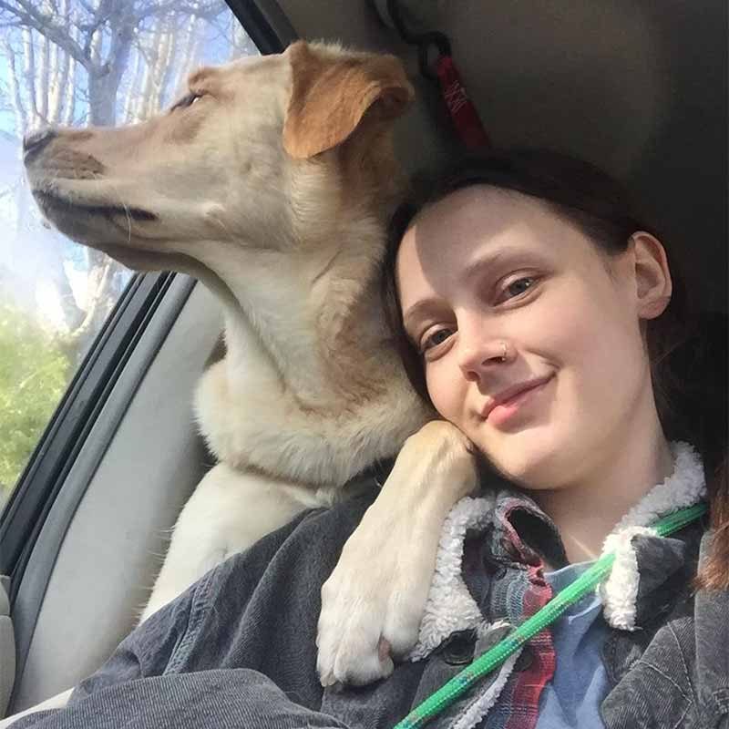 noelles pet love team sunny 800x800