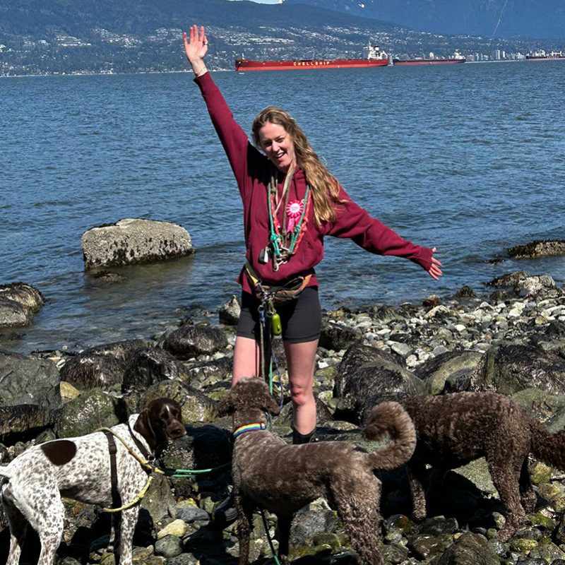 noelles pet love team sydney 800x800